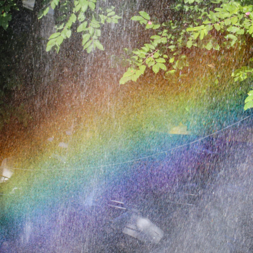 After the Storm: Listening to Nature, Learning to Heal